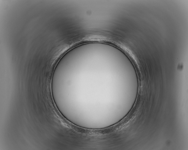 X0000090930529200707301116