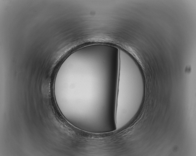 X0000090930531200707301116