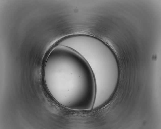 X0000090930532200707301116