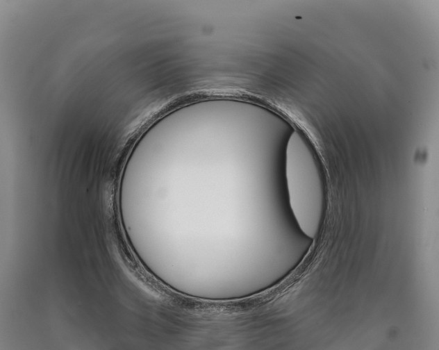 X0000090930533200707301116