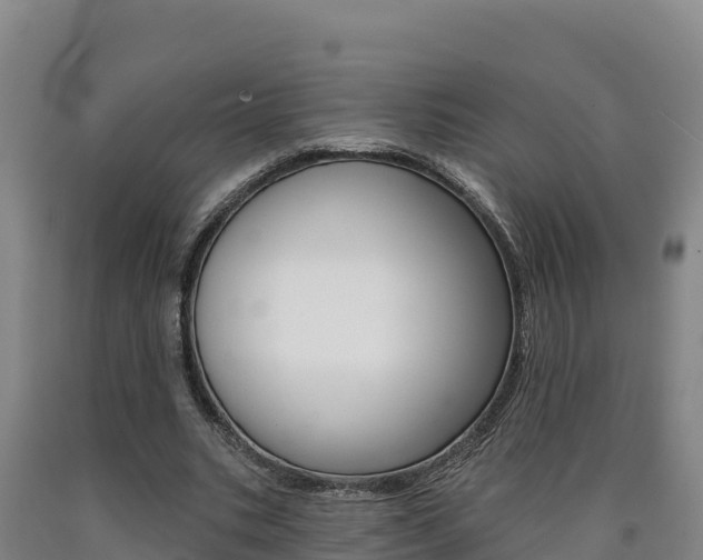 X0000090930535200707301116