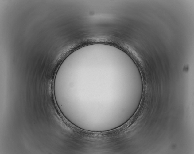 X0000090930537200707301116