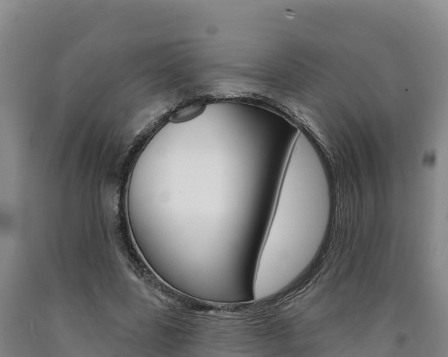 X0000090930539200707301116