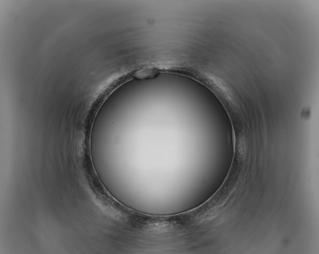 X0000090930540200707301117