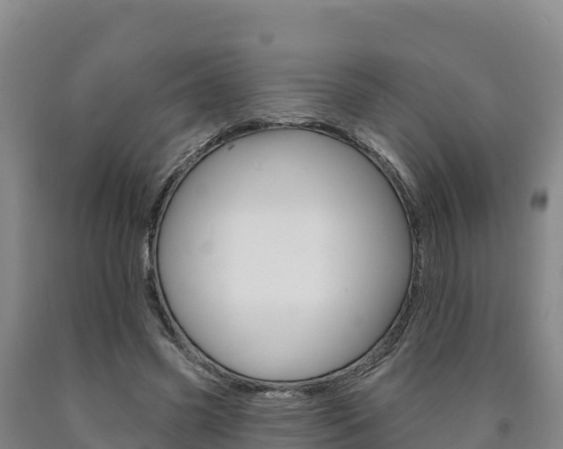 X0000090930541200707301117