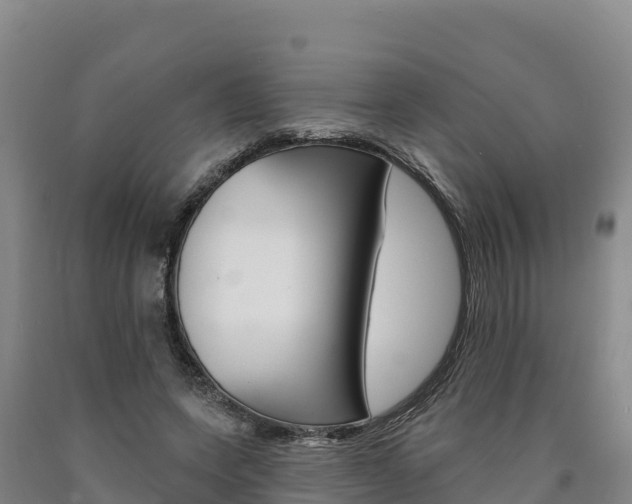 X0000090930543200707301117
