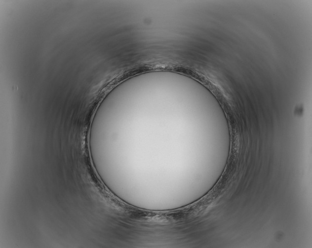 X0000090930545200707301117