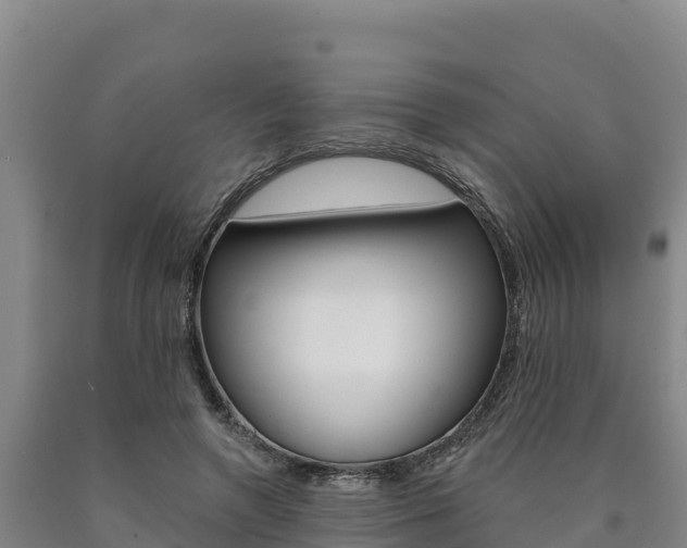 X0000090930546200707301117