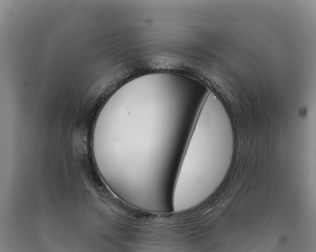 X0000090930547200707301117