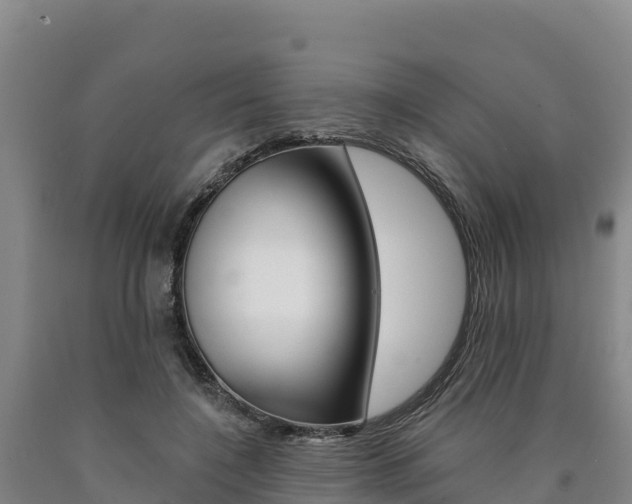 X0000090930548200707301117