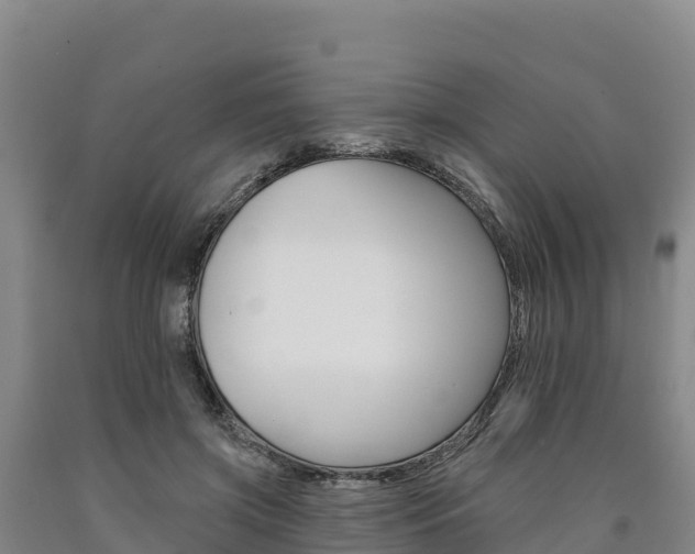 X0000090930549200707301117