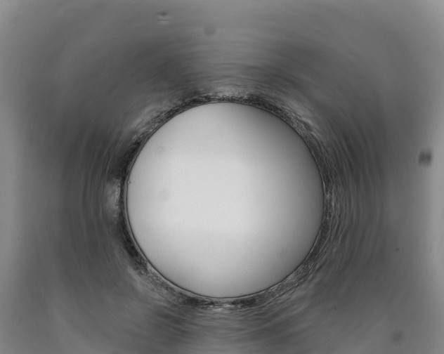 X0000090930550200707301117