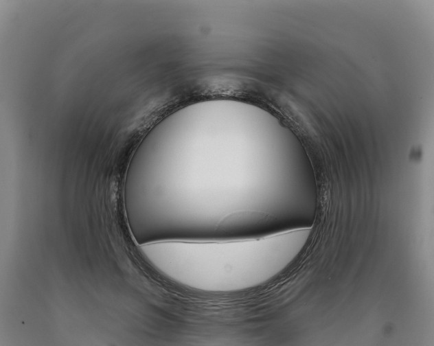 X0000090930551200707301117