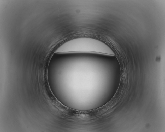 X0000090930552200707301117