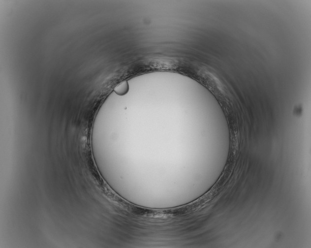 X0000090930553200707301117