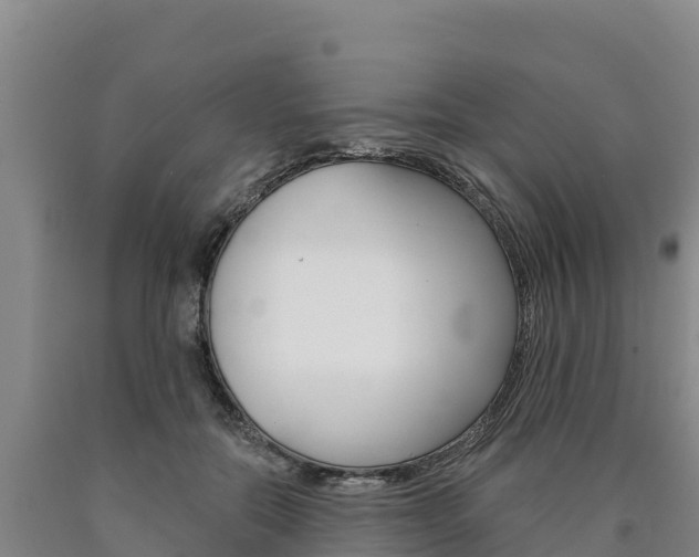 X0000090930554200707301117