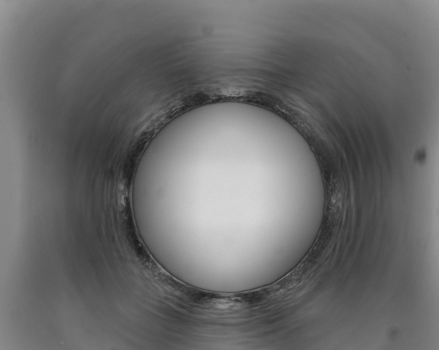 X0000090930555200707301117