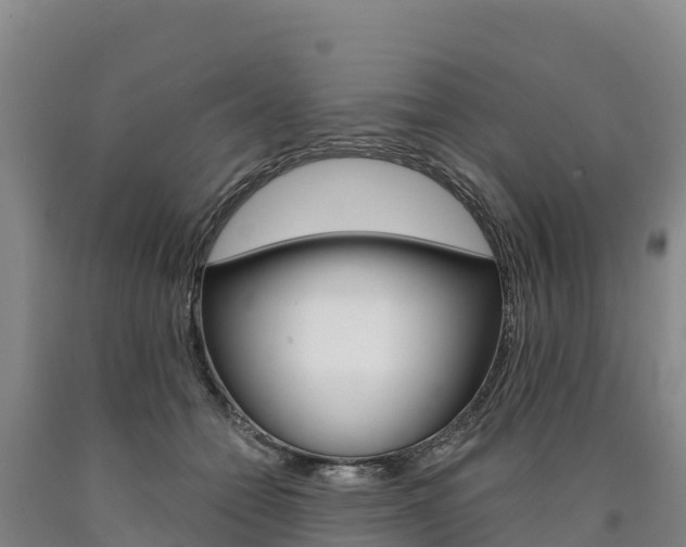 X0000090930558200707301117