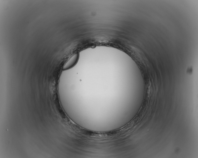 X0000090930559200707301117