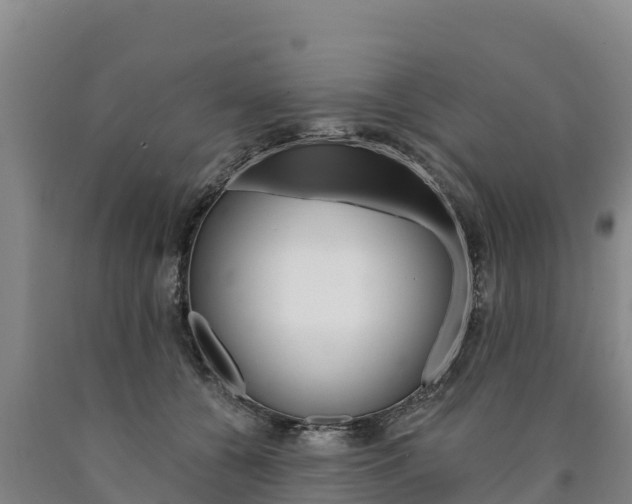 X0000090930560200707301117