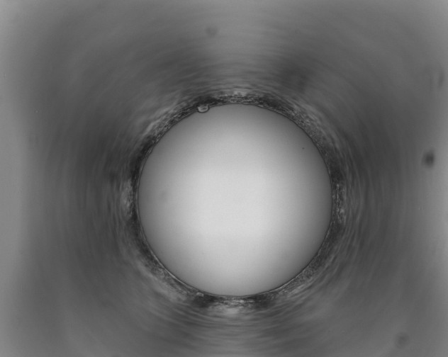 X0000090930563200707301117