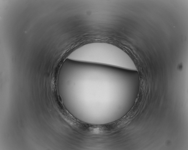 X0000090930564200707301117