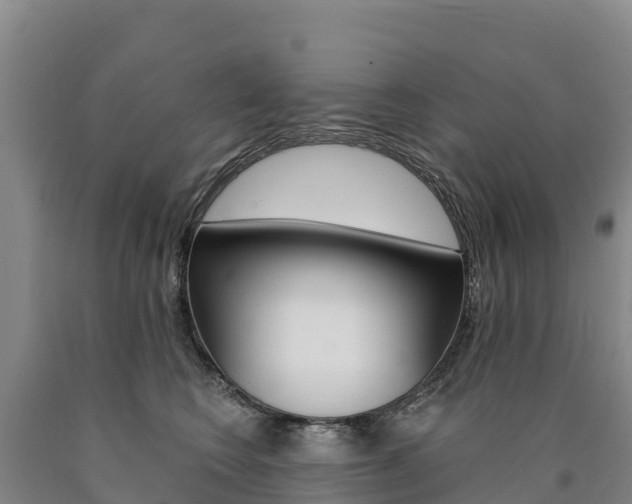 X0000090930566200707301117