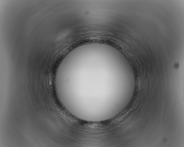 X0000090930567200707301117