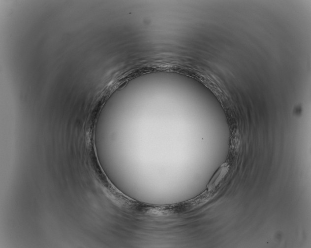 X0000090930568200707301117