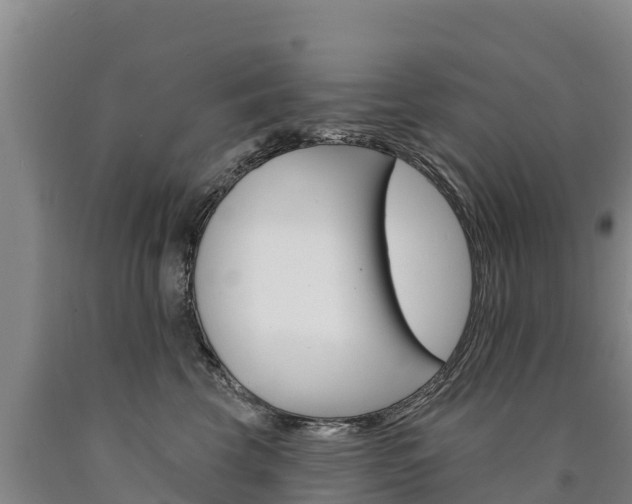 X0000090930569200707301117