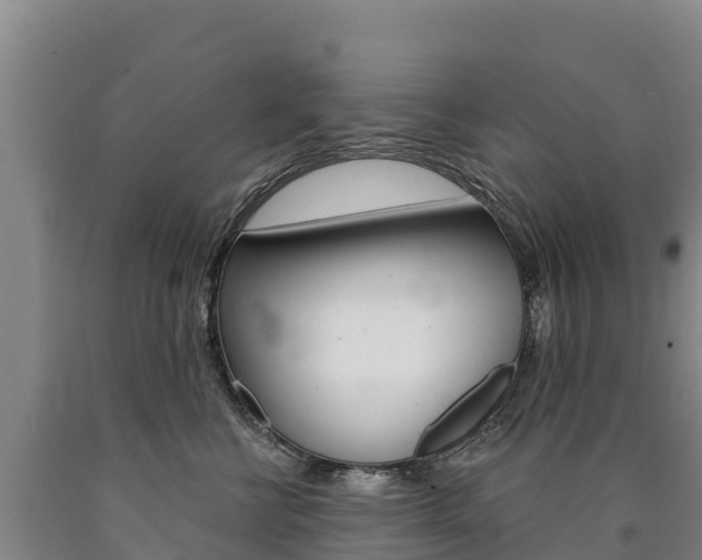 X0000090930570200707301117