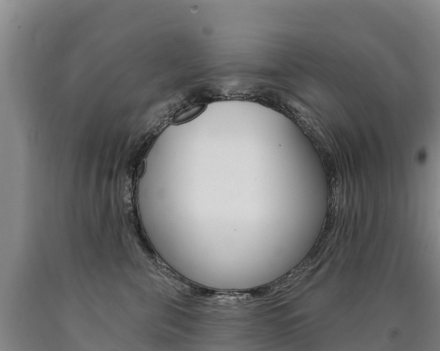 X0000090930571200707301117