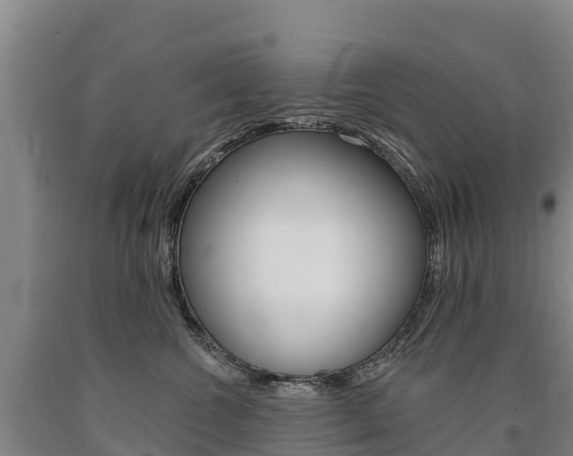 X0000090930572200707301117