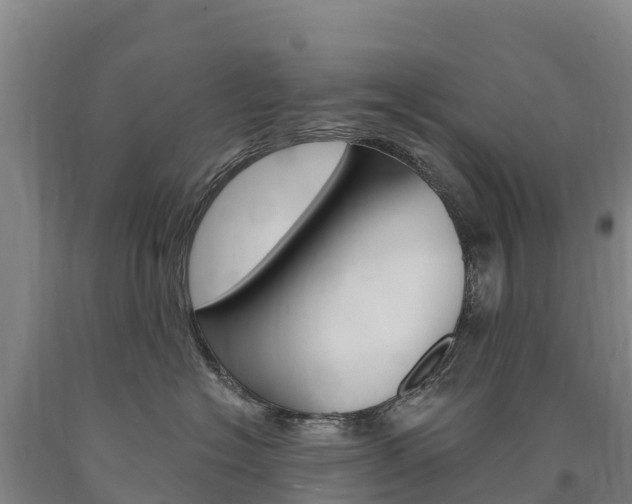 X0000090930574200707301117