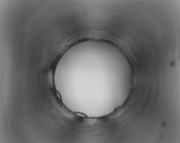 X0000090930575200707301117