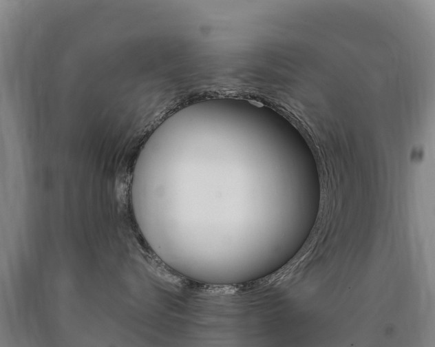 X0000090930576200707301117