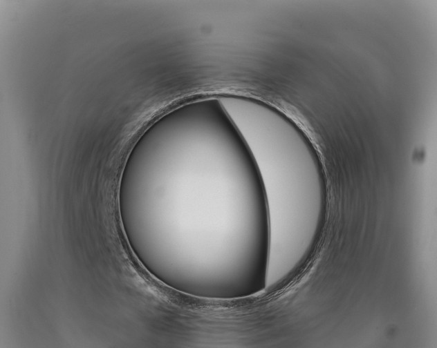 X0000090930577200707301116