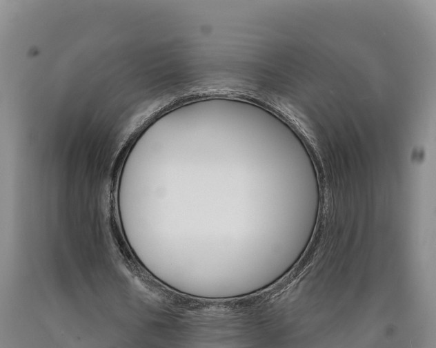 X0000090930578200707301116