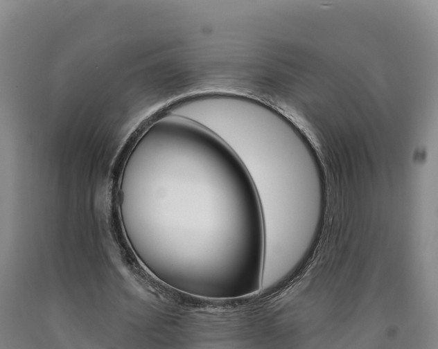 X0000090930580200707301116