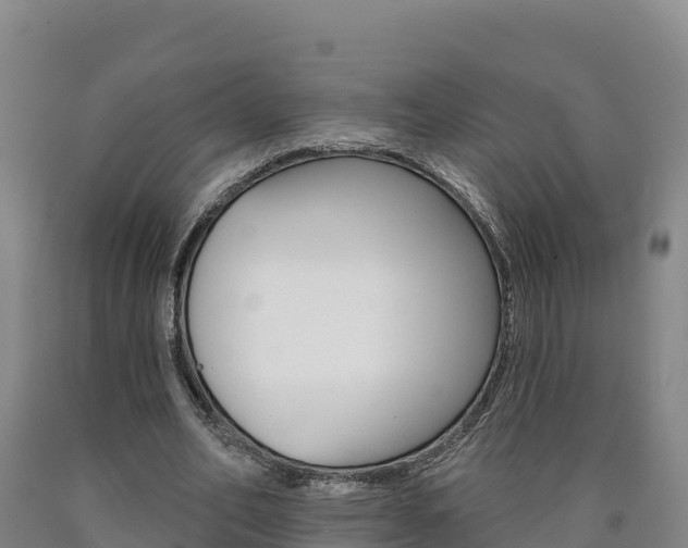 X0000090930582200707301116