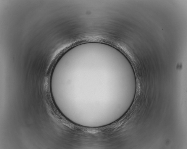 X0000090930583200707301116
