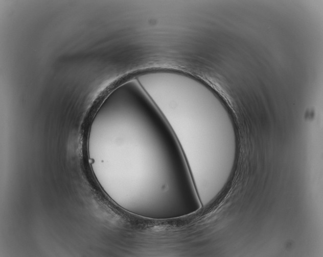 X0000090930584200707301116