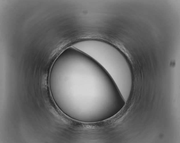 X0000090930585200707301116