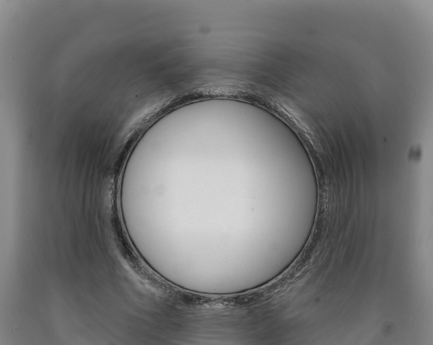 X0000090930586200707301116