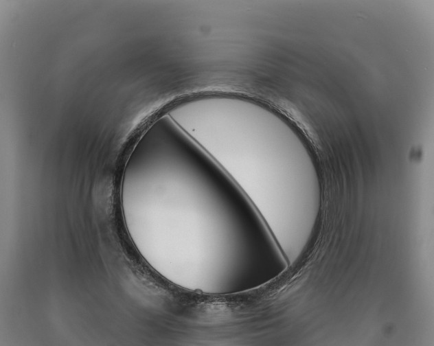 X0000090930588200707301116