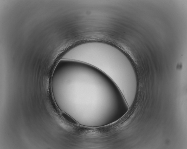 X0000090930589200707301116