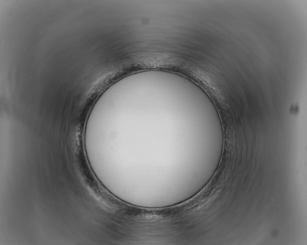 X0000090930590200707301116