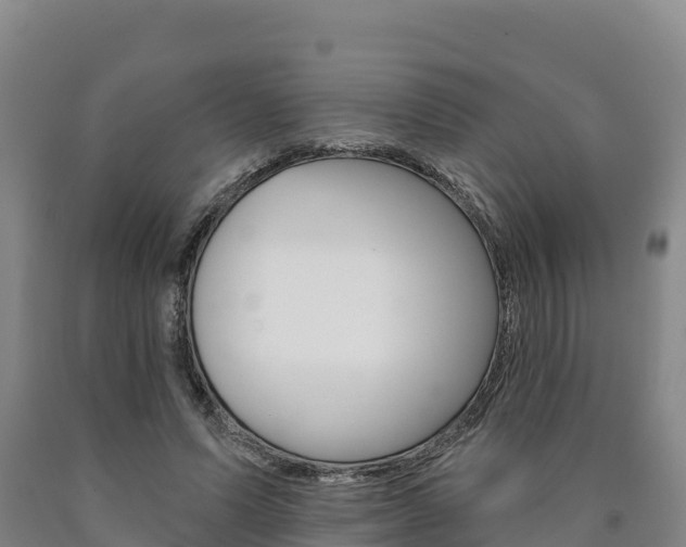X0000090930591200707301116