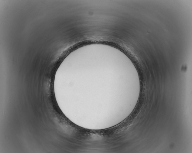 X0000090930592200707301116