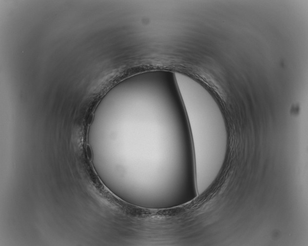 X0000090930593200707301116